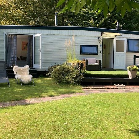 Charmant Chalet Op Een Bospark Op De Veluwe Villa Putten Ngoại thất bức ảnh