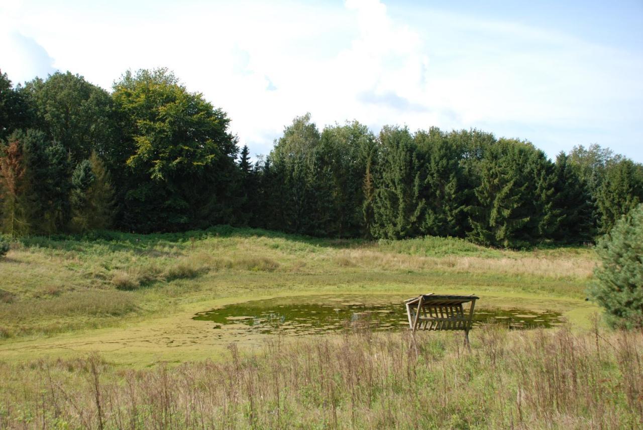 Charmant Chalet Op Een Bospark Op De Veluwe Villa Putten Ngoại thất bức ảnh