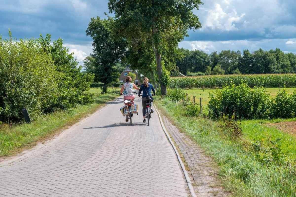 Charmant Chalet Op Een Bospark Op De Veluwe Villa Putten Ngoại thất bức ảnh