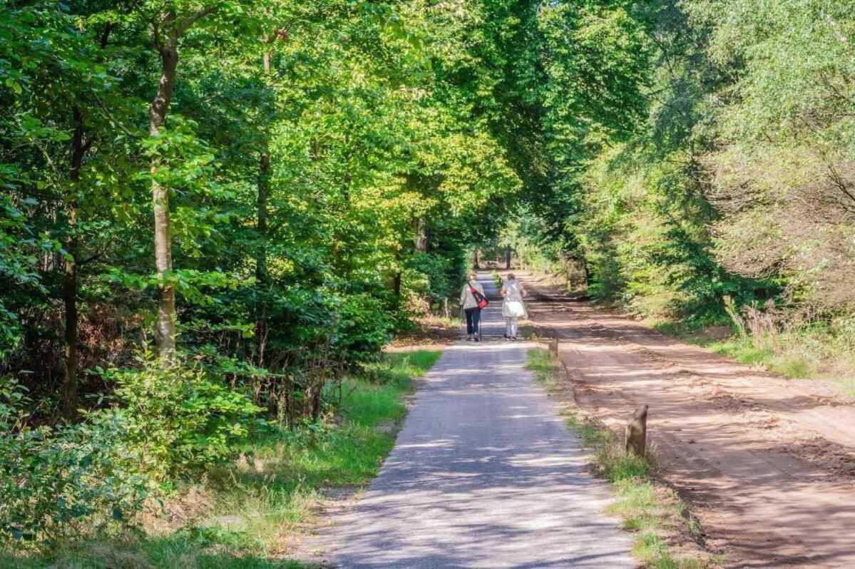 Charmant Chalet Op Een Bospark Op De Veluwe Villa Putten Ngoại thất bức ảnh